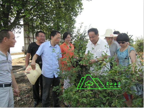江西省油茶辦主任、工程師孫勇、省科技廳農(nóng)村工作處副處長(zhǎng)、副調(diào)研員尹伊等基地指導(dǎo)工作